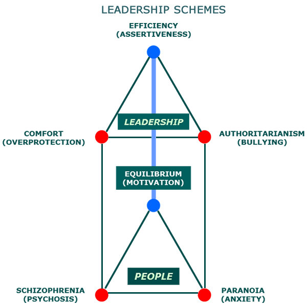 Leadership Schemes